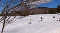 11 Blueberry Ledge Hawk Mountain Resort