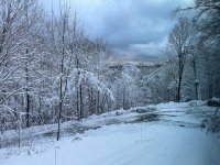 257 Rim Killington East