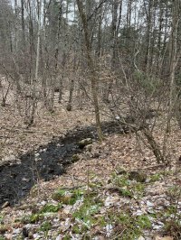 134 Pond Eastridge Acres