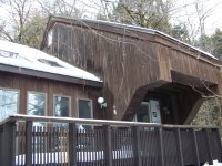 455 Cedar Wood Timber Hawk
