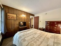 57 Silver Birch