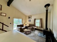 57 Silver Birch
