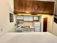 57 Silver Birch