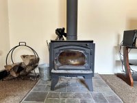 57 Silver Birch