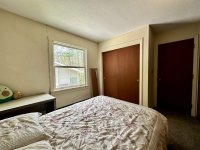 57 Silver Birch