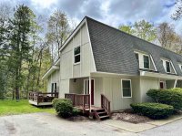 57 Silver Birch