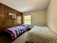 57 Silver Birch
