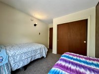 57 Silver Birch