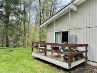 57 Silver Birch