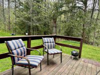 57 Silver Birch