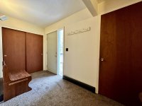57 Silver Birch