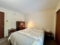 57 Silver Birch