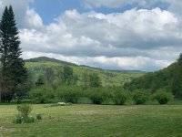 19 Broad Brook