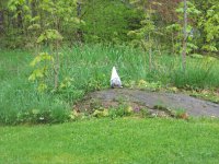3078 North Hollow