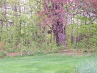 3078 North Hollow