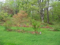 3078 North Hollow