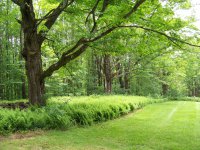 3078 North Hollow