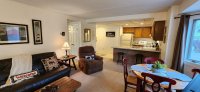 73 Alpine Pico Village
