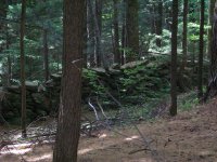 981 Quarry Hill