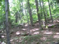 981 Quarry Hill