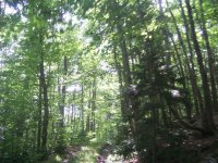 981 Quarry Hill