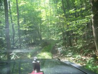 981 Quarry Hill