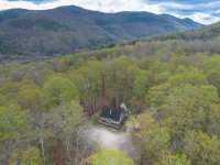 393 Tanglewood