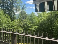 221 Fiddlehead