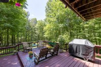 176 Doubleday Hill