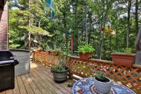 253 Lookout