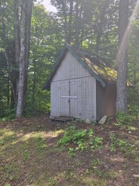 393 Tanglewood